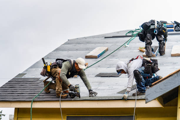 Professional Storm Damage Roof Repair technician working in Warsaw, KY